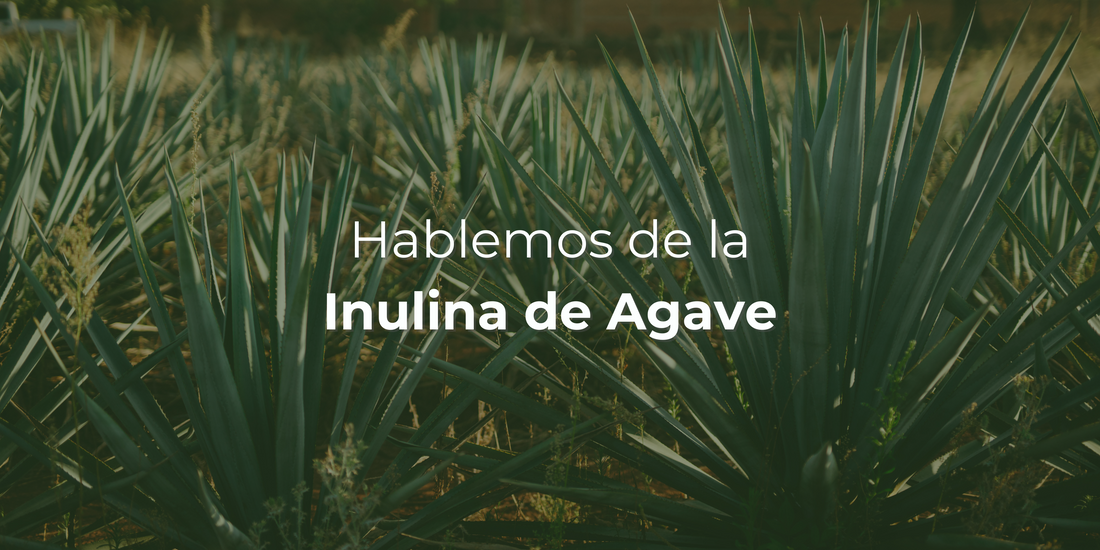 Lo que debes saber de la Inulina de Agave