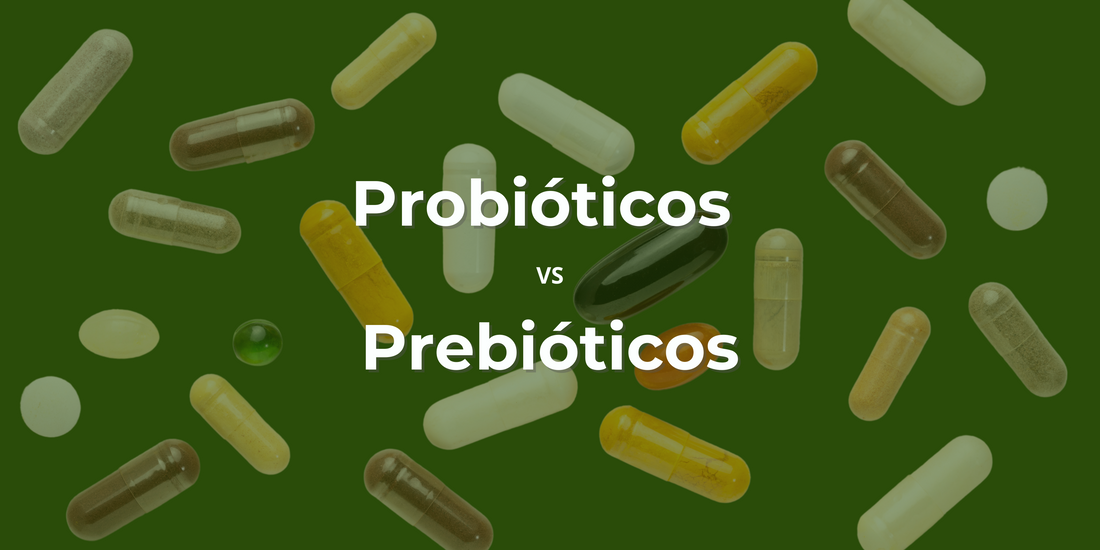 ¿Probióticos o Prebióticos?